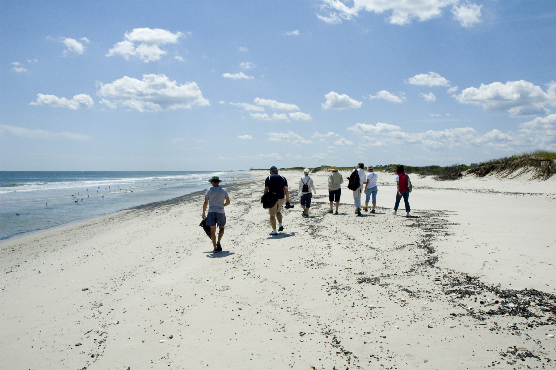 Guided walk at Brigantine Wilderness FWS.gov